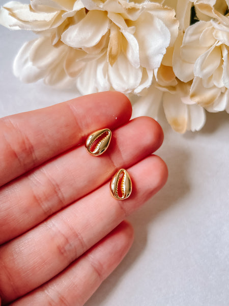 Gold Cowrie Shell Studs