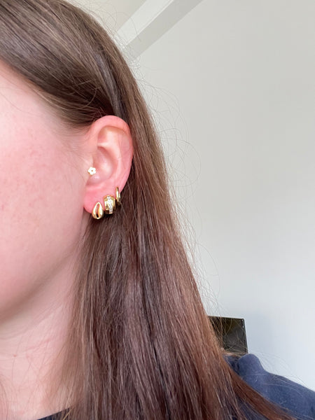 Gold Cowrie Shell Studs