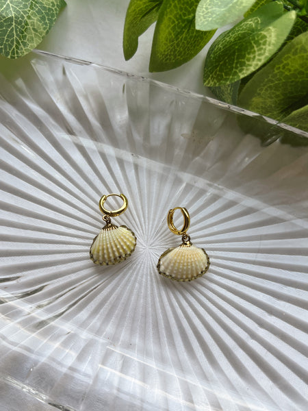 Seashell Huggies