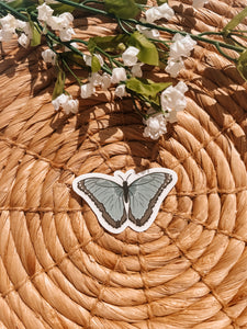 Clear Common Blue Morpho Butterfly Sticker