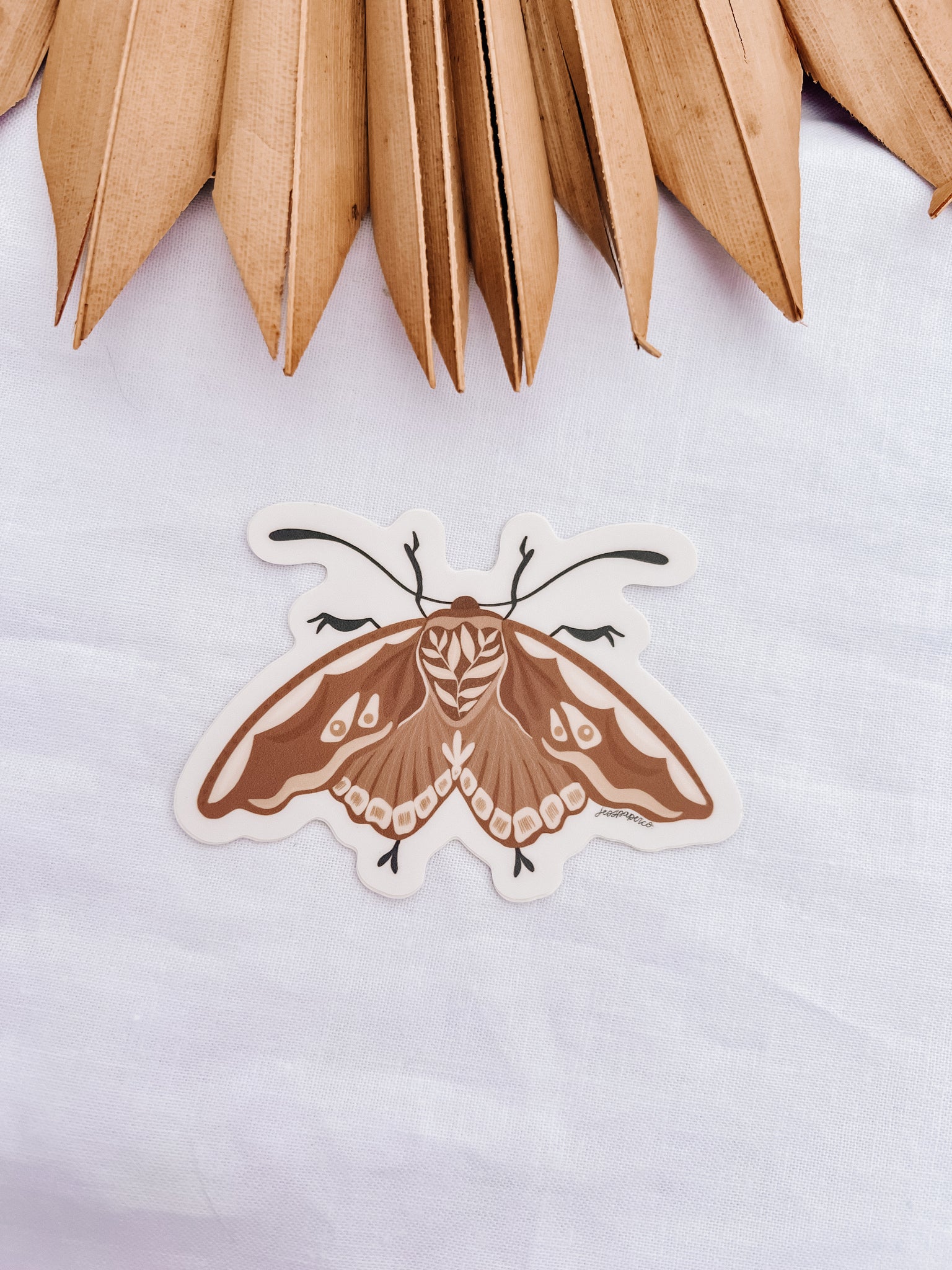 Moth Sticker